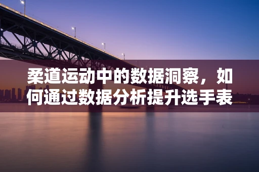 柔道运动中的数据洞察，如何通过数据分析提升选手表现？