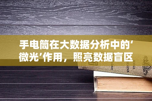 手电筒在大数据分析中的‘微光’作用，照亮数据盲区？