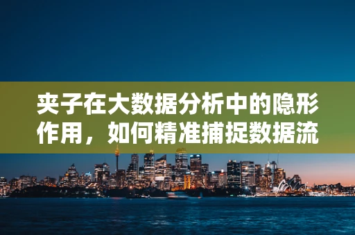 夹子在大数据分析中的隐形作用，如何精准捕捉数据流动的‘瞬间’？
