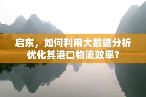 启东，如何利用大数据分析优化其港口物流效率？