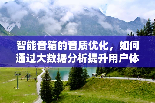 智能音箱的音质优化，如何通过大数据分析提升用户体验？