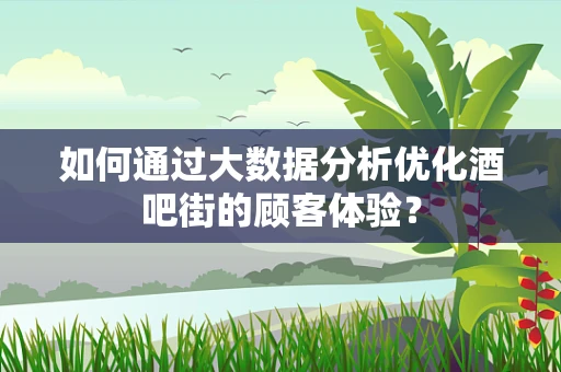 如何通过大数据分析优化酒吧街的顾客体验？