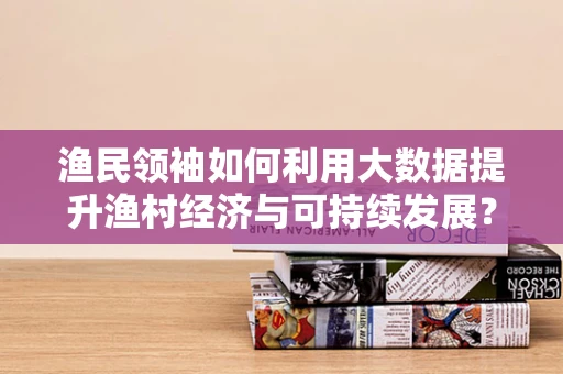渔民领袖如何利用大数据提升渔村经济与可持续发展？