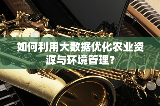 如何利用大数据优化农业资源与环境管理？