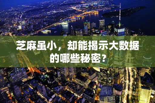 芝麻虽小，却能揭示大数据的哪些秘密？