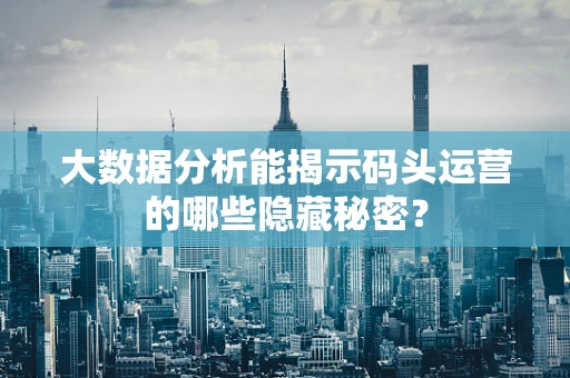 大数据分析能揭示码头运营的哪些隐藏秘密？