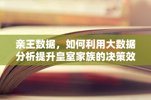 亲王数据，如何利用大数据分析提升皇室家族的决策效率？