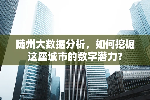 随州大数据分析，如何挖掘这座城市的数字潜力？