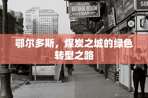 鄂尔多斯，煤炭之城的绿色转型之路