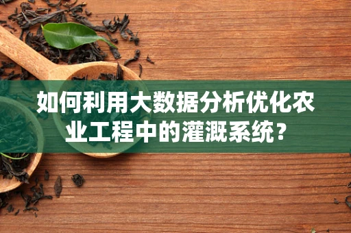 如何利用大数据分析优化农业工程中的灌溉系统？
