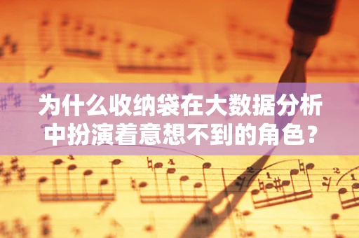 为什么收纳袋在大数据分析中扮演着意想不到的角色？