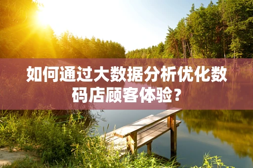 如何通过大数据分析优化数码店顾客体验？