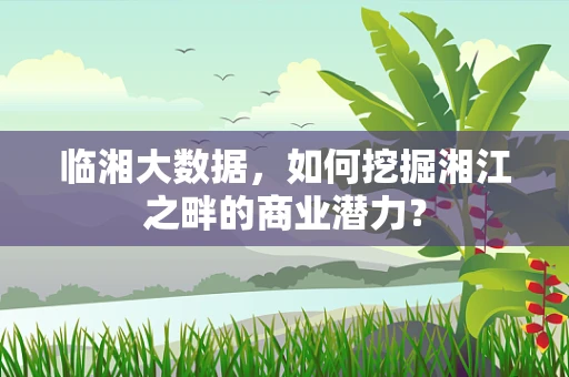 临湘大数据，如何挖掘湘江之畔的商业潜力？