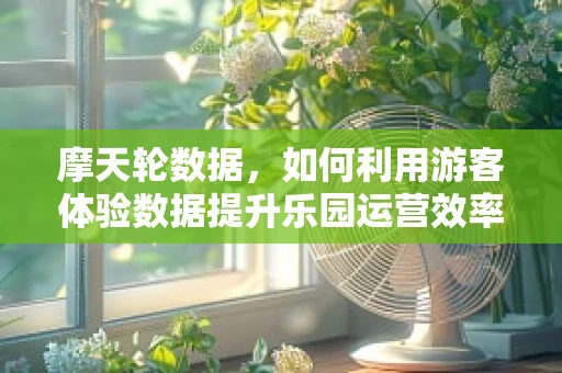 摩天轮数据，如何利用游客体验数据提升乐园运营效率？