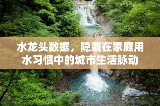 水龙头数据，隐藏在家庭用水习惯中的城市生活脉动