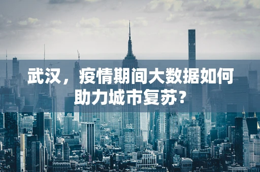 武汉，疫情期间大数据如何助力城市复苏？