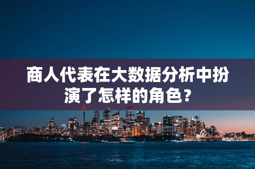 商人代表在大数据分析中扮演了怎样的角色？