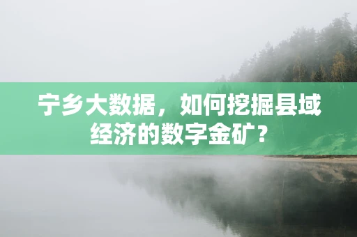 宁乡大数据，如何挖掘县域经济的数字金矿？