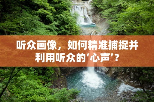 听众画像，如何精准捕捉并利用听众的‘心声’？