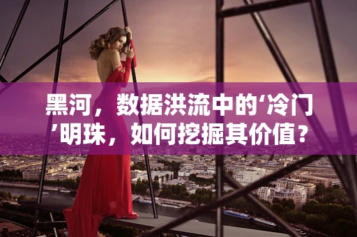 黑河，数据洪流中的‘冷门’明珠，如何挖掘其价值？