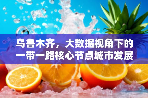 乌鲁木齐，大数据视角下的一带一路核心节点城市发展之谜