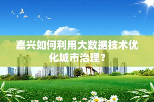 嘉兴如何利用大数据技术优化城市治理？