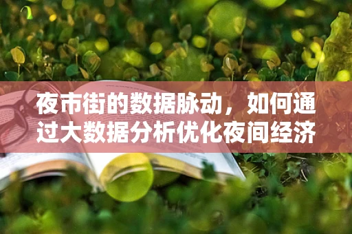 夜市街的数据脉动，如何通过大数据分析优化夜间经济活力？