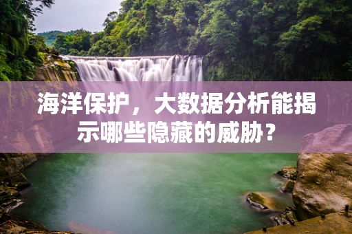 海洋保护，大数据分析能揭示哪些隐藏的威胁？