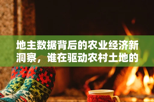 地主数据背后的农业经济新洞察，谁在驱动农村土地的现代化转型？