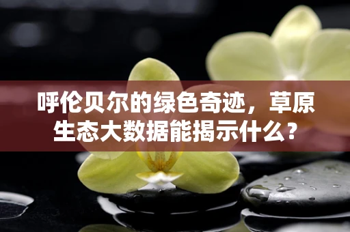 呼伦贝尔的绿色奇迹，草原生态大数据能揭示什么？