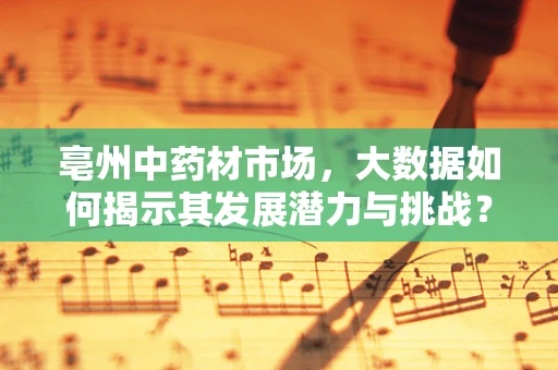 亳州中药材市场，大数据如何揭示其发展潜力与挑战？