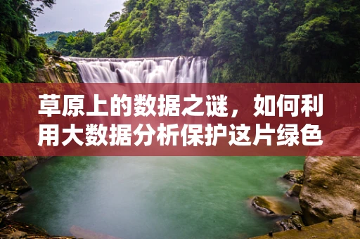 草原上的数据之谜，如何利用大数据分析保护这片绿色天堂？