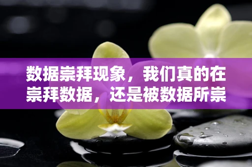 数据崇拜现象，我们真的在崇拜数据，还是被数据所崇拜？