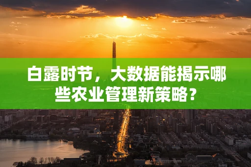 白露时节，大数据能揭示哪些农业管理新策略？