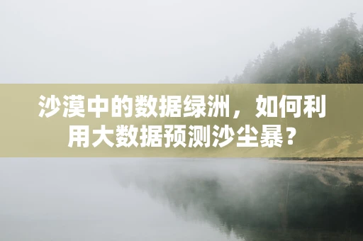 沙漠中的数据绿洲，如何利用大数据预测沙尘暴？