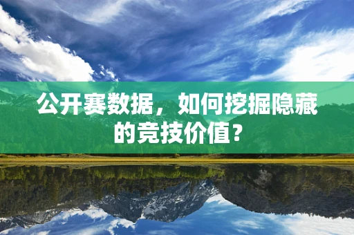 公开赛数据，如何挖掘隐藏的竞技价值？