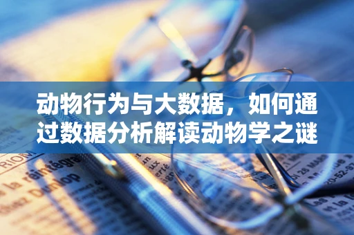 动物行为与大数据，如何通过数据分析解读动物学之谜？