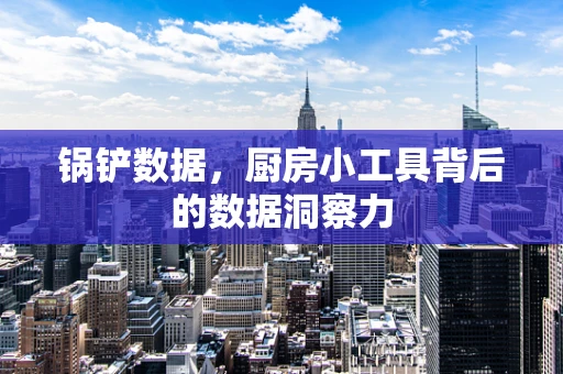 锅铲数据，厨房小工具背后的数据洞察力