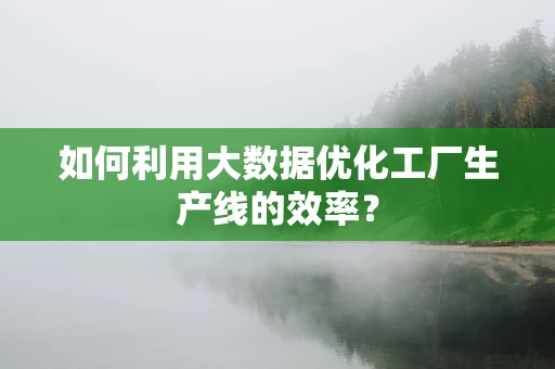 如何利用大数据优化工厂生产线的效率？
