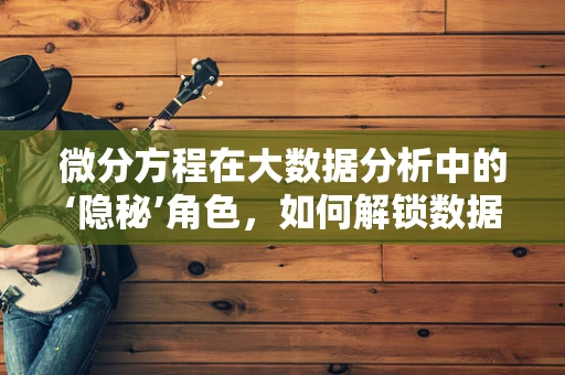 微分方程在大数据分析中的‘隐秘’角色，如何解锁数据流动的秘密？