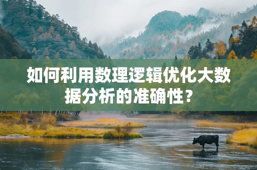 如何利用数理逻辑优化大数据分析的准确性？