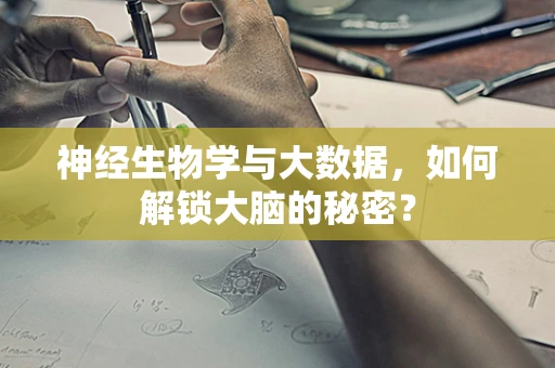 神经生物学与大数据，如何解锁大脑的秘密？