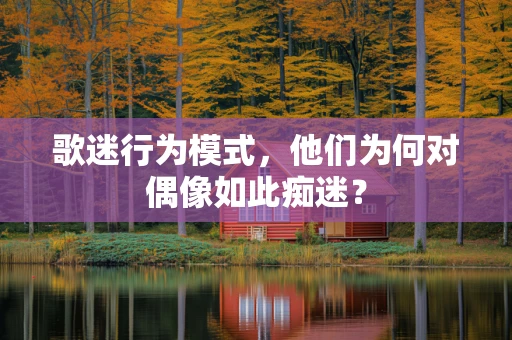 歌迷行为模式，他们为何对偶像如此痴迷？