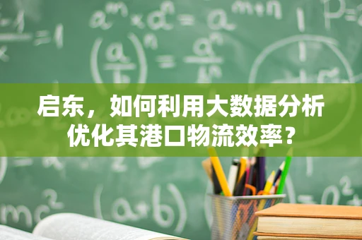 启东，如何利用大数据分析优化其港口物流效率？