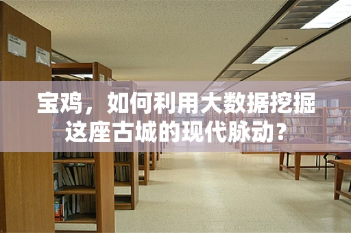 宝鸡，如何利用大数据挖掘这座古城的现代脉动？