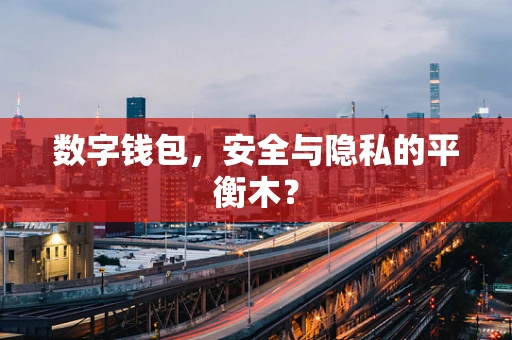 数字钱包，安全与隐私的平衡木？