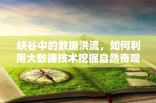 峡谷中的数据洪流，如何利用大数据技术挖掘自然奇观背后的秘密？