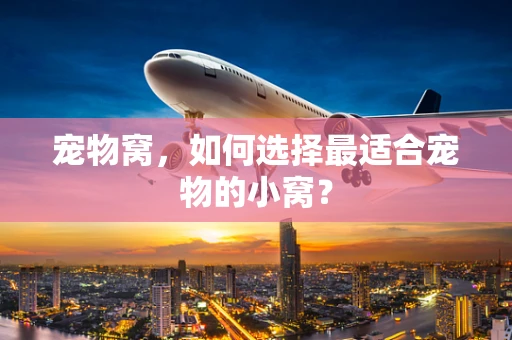 宠物窝，如何选择最适合宠物的小窝？