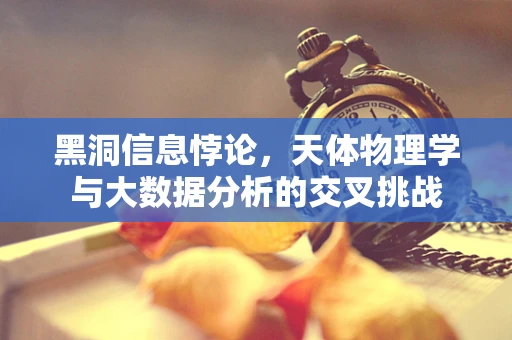 黑洞信息悖论，天体物理学与大数据分析的交叉挑战