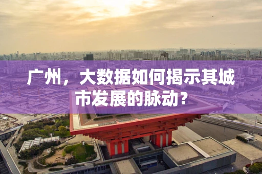 广州，大数据如何揭示其城市发展的脉动？
